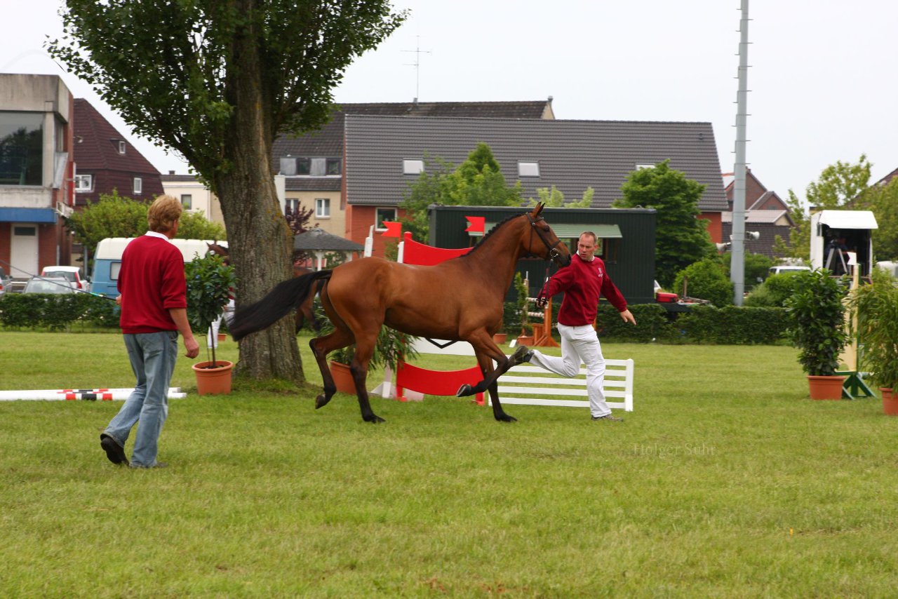 Bild 43 - Elmshorn am 9.6.10